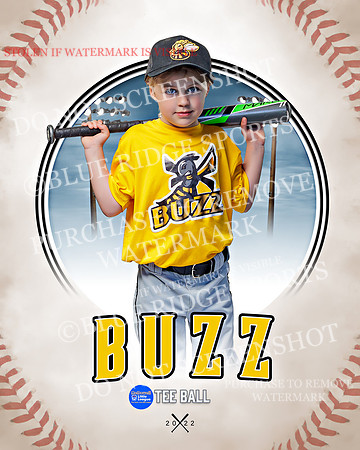BUZZ 031 of 33