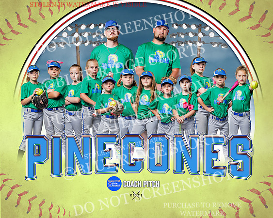 1pinecones.team