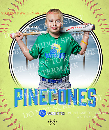 PINECONES 028 of 41