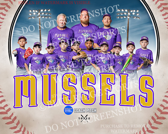 1 mussels.team