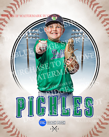 PICKLES 014 of 43