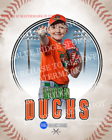 woodducks 009 of 41