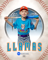 LLAMAS 005 of 42