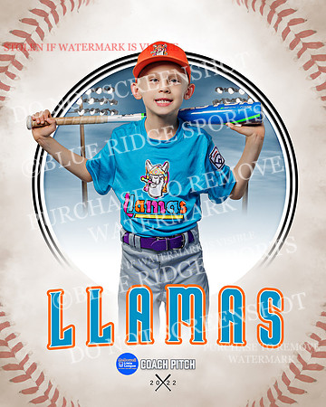 LLAMAS 005 of 42