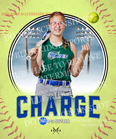 CHARGE 008 of 52