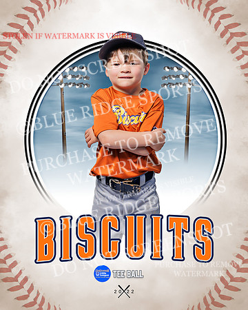 BISCUITS 004 of 45