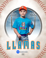 LLAMAS 003 of 42