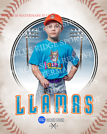 LLAMAS 003 of 42