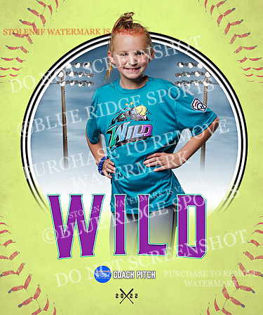 WILD 006 of 43