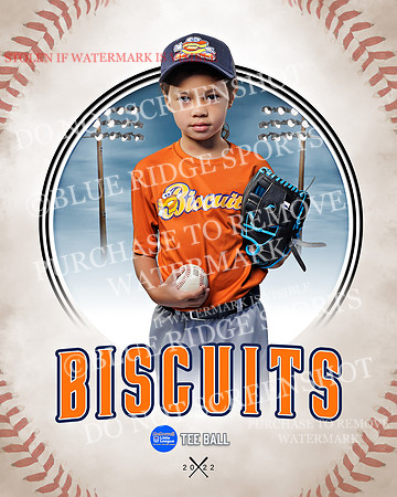 BISCUITS 040 of 45