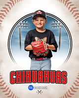 CHIHUAUAS 008 of 33