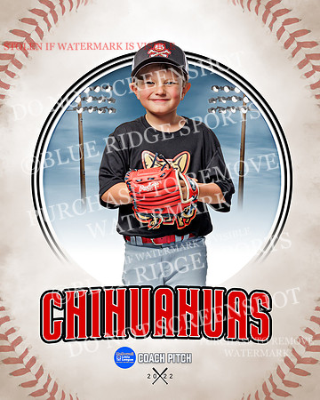 CHIHUAUAS 008 of 33