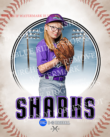 SHARKS 003 of 28