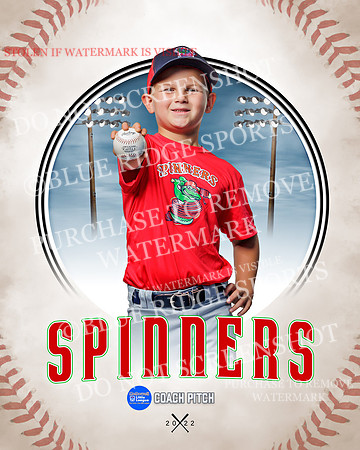 SPINNERS 007 of 40
