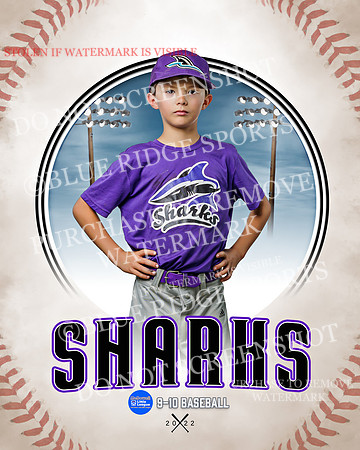 SHARKS 028 of 28