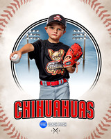 CHIHUAUAS 009 of 33