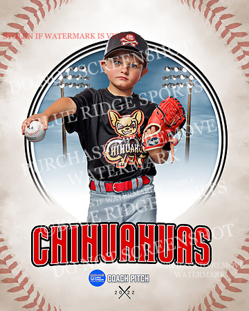 CHIHUAUAS 009 of 33