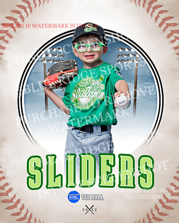SLIDERS 049 of 49
