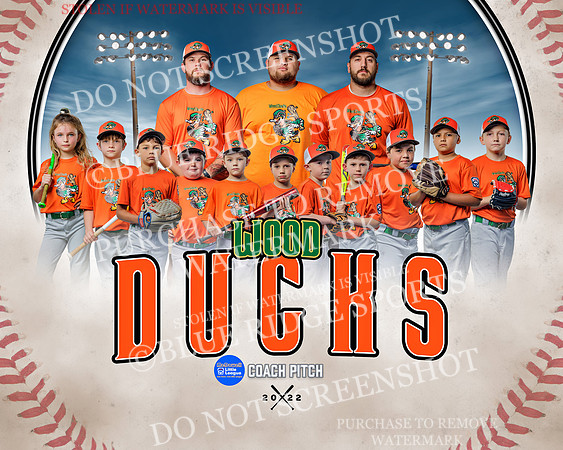 1 woodducks.team