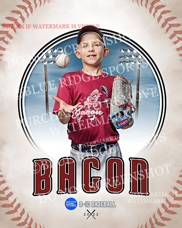 BACON 011 of 33