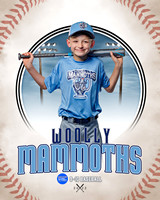 MAMMOTHS 008 of 36