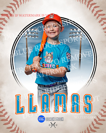 LLAMAS 041 of 42