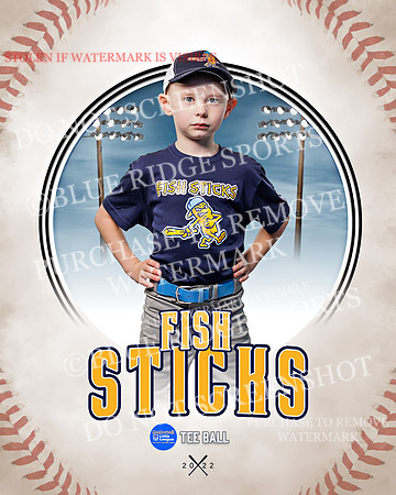 FISH STICKS 005 of 46