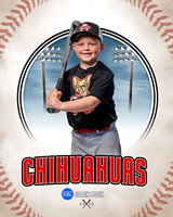 CHIHUAUAS 014 of 33