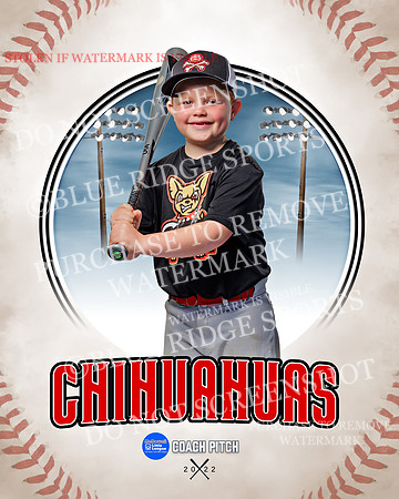 CHIHUAUAS 014 of 33