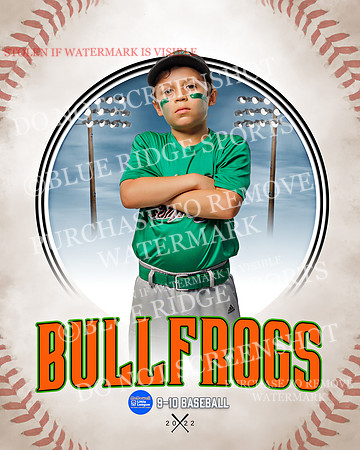 BULLFROGS 033 of 38
