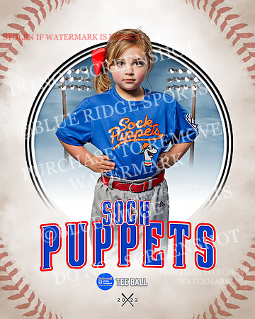 SOCK PUPPETS 028 of 45