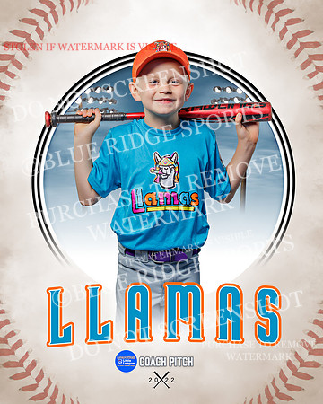 LLAMAS 033 of 42