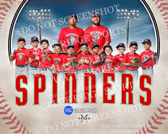 1 spinners.team