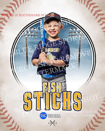 FISH STICKS 027 of 46