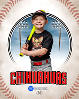CHIHUAUAS 029 of 33