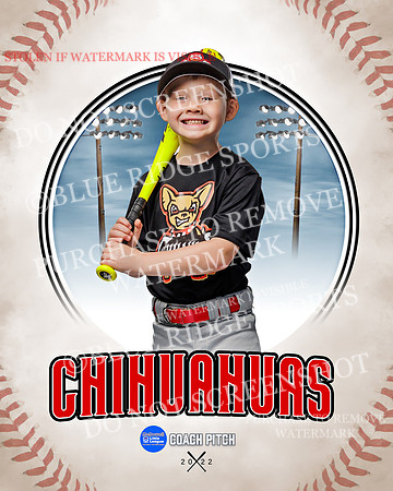 CHIHUAUAS 029 of 33