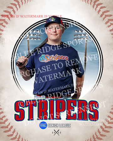 STRIPERS 010 of 24