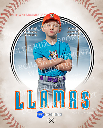 LLAMAS 030 of 42