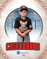 CHIHUAUAS 012 of 33