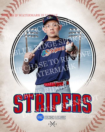 STRIPERS 015 of 24