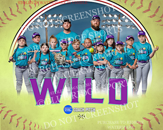 1wild.team
