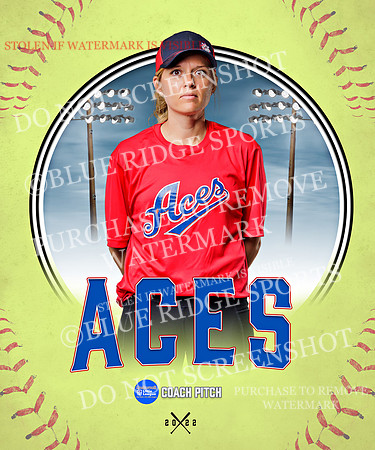 ACES 008 of 34
