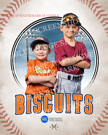 BISCUITS 003 of 45