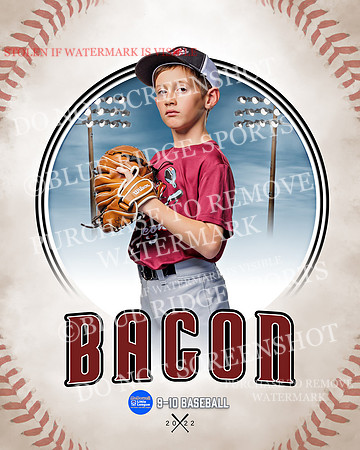 BACON 009 of 33