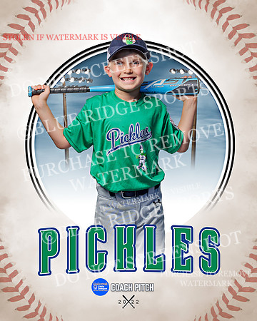 PICKLES 011 of 43