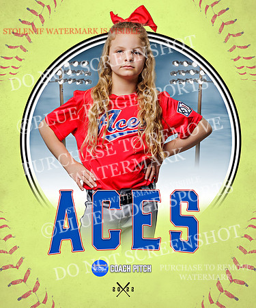 ACES 031 of 34