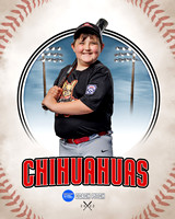 CHIHUAUAS 024 of 33