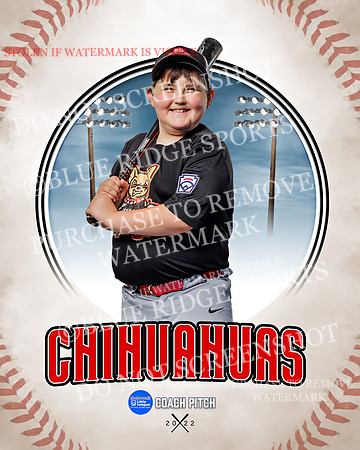 CHIHUAUAS 024 of 33