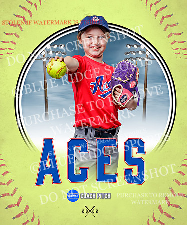 ACES 010 of 34