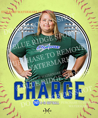 CHARGE 034 of 52